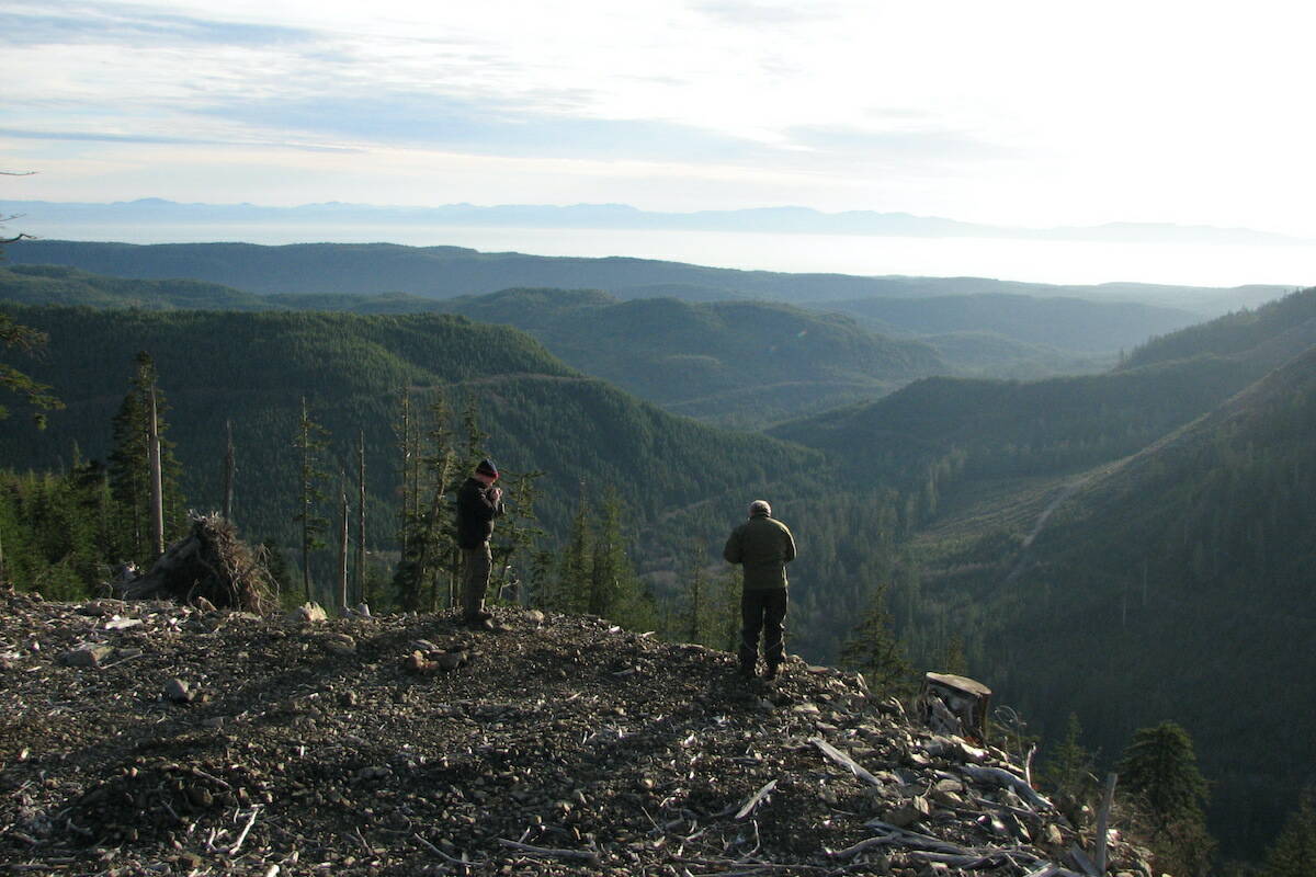 The Vancouver Island Sasquatch Society team survey the landscape of Camper Creek in the Cowichan Valley. (Courtesy of Alex Solunac)