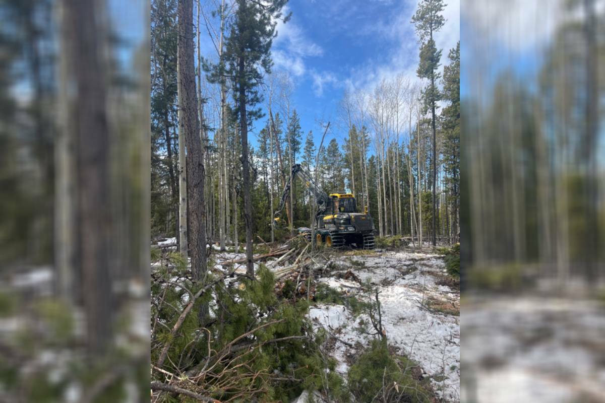 Logging contractor implements the initial phase of the treatment. (Brian Watson/ Contributed)